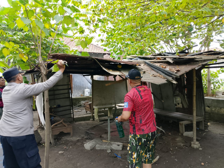 Respon Keluhan Warga Polisi Bongkar Arena Sabung Ayam di Plumbungan Sukodono