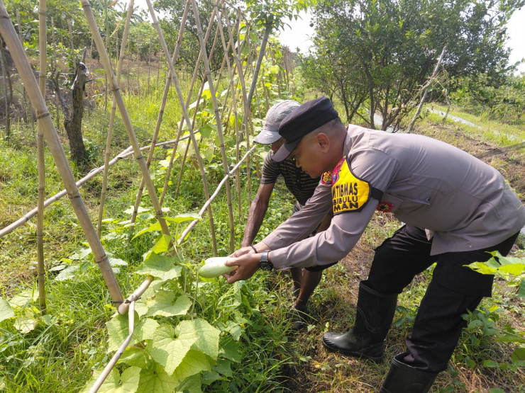 Sinergi Polri dan Warga Sidoarjo Wujudkan Ketahanan Pangan dari Pekarangan Rumah