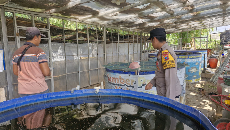 Bhabinkamtibmas Desa Kebonagung Polsek Sukodono, Cek Perkembangan Budidaya Ikan Lele Warga di Lahan Kosong