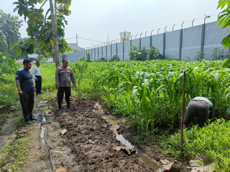 Dukung Program Asta Cita Presiden RI, Polsek Porong dan Lapas Klas I Surabaya Cek Tanaman Jagung, Sawi, dan Kangkung di Lahan Ketahanan Pangan P2B