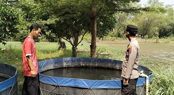 Pengecekan Budidaya Ikan Lele, Bukti Keberhasilan Program Ketahanan Pangan P2B