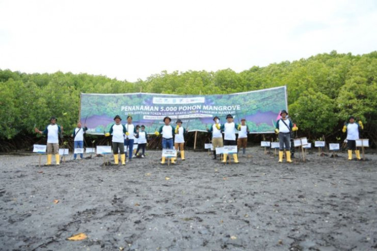 PLN tanam 5.000 bibit mangrove di Teluk Pangpang Banyuwangi